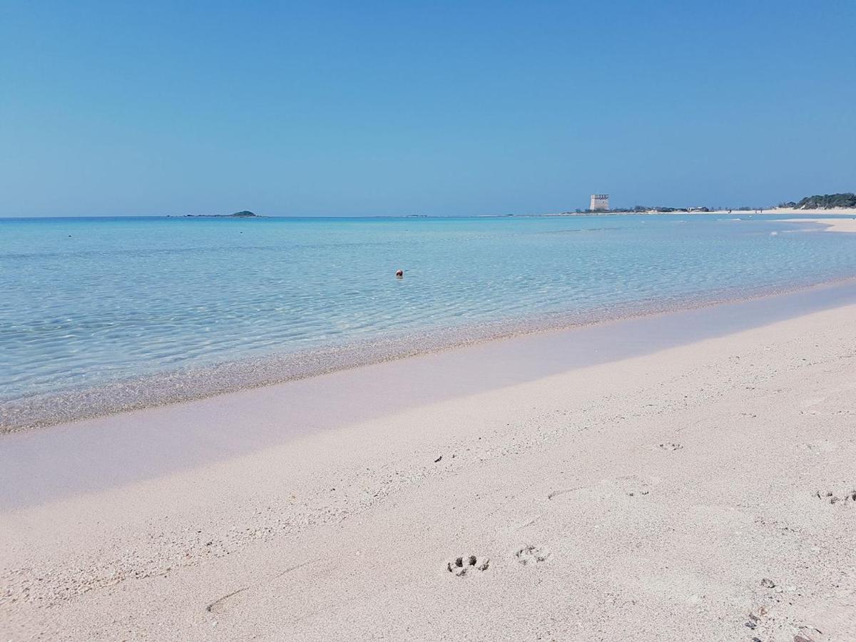 פורטו צ'זראו Hotel Posidonia מראה חיצוני תמונה